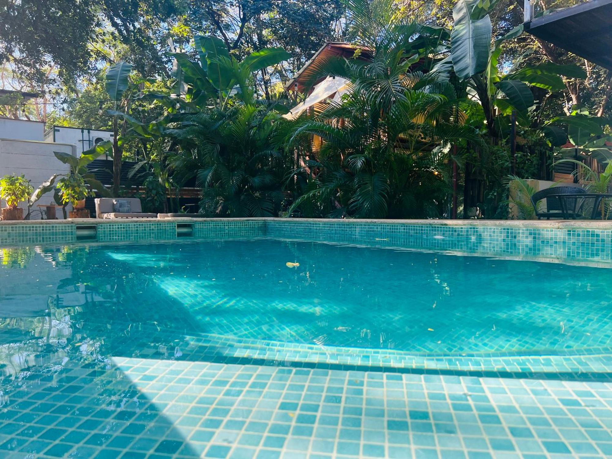 Calipso Ocean Lodge- Avellana Beach Hotel 阿维拉纳海滩 外观 照片