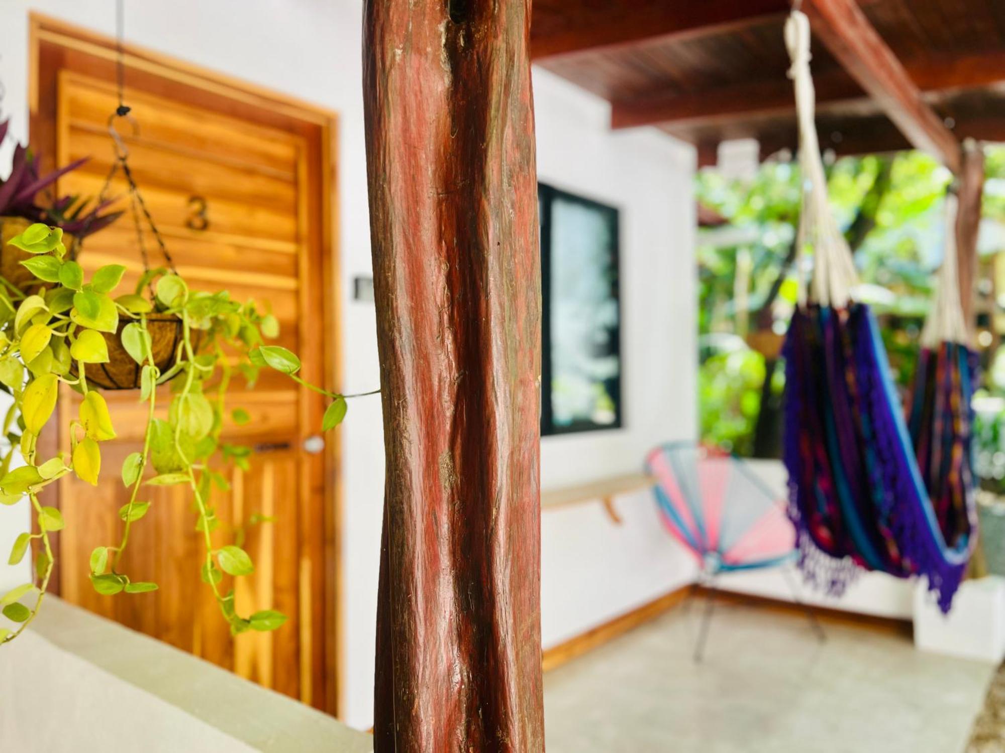 Calipso Ocean Lodge- Avellana Beach Hotel 阿维拉纳海滩 外观 照片