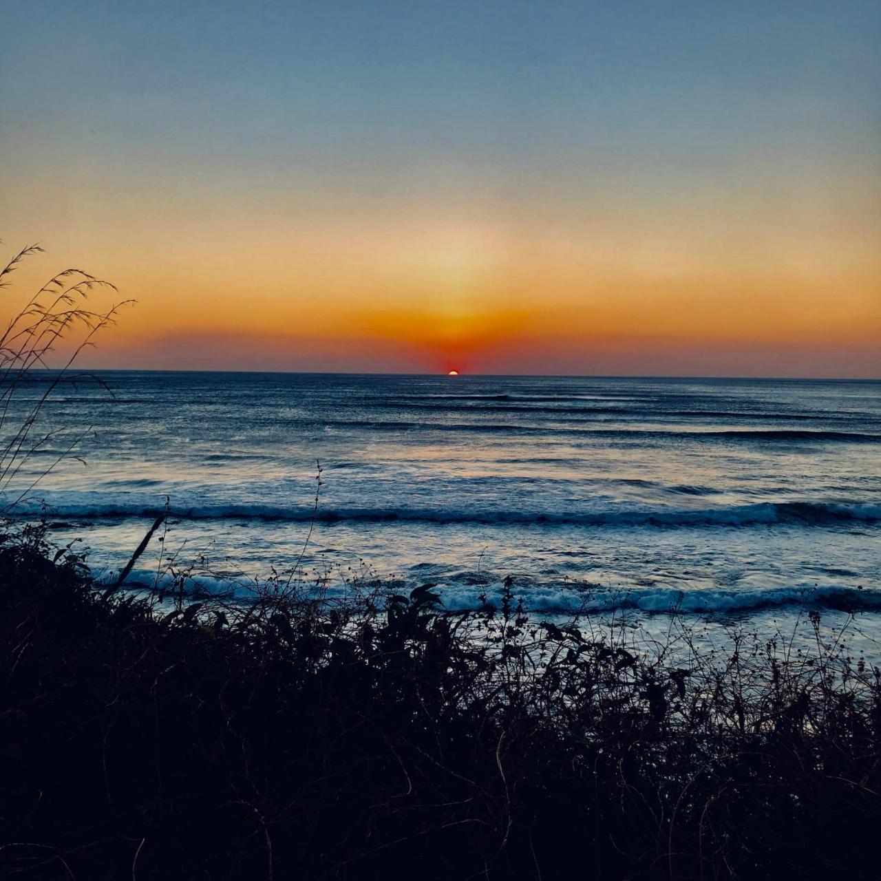 Calipso Ocean Lodge- Avellana Beach Hotel 阿维拉纳海滩 外观 照片
